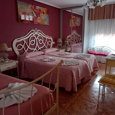 Camino De Santiago *