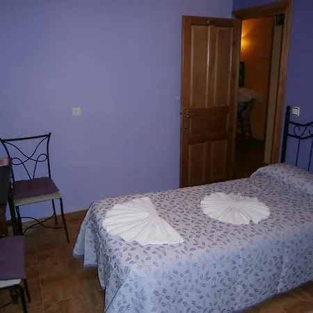 Camino De Santiago *