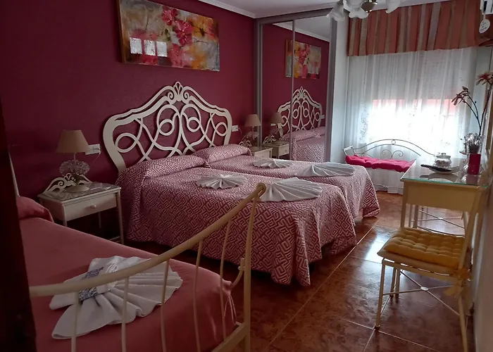 Camino De Santiago *