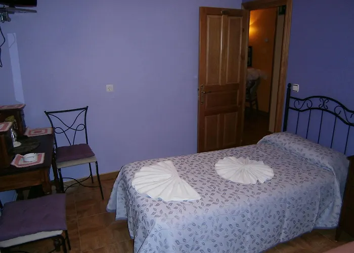 Camino De Santiago *