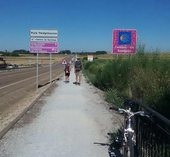 Camino De Santiago